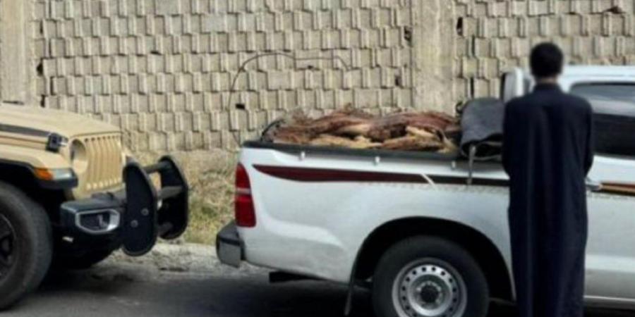 الأمن البيئي يضبط مخالفًا في عسير لحيازته حطبًا محليًا ويُطبق بحقه النظام