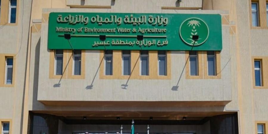 إتلاف 749 حالة لحوم غير صالحة ضمن 120 جولة رقابية على مسالخ عسير