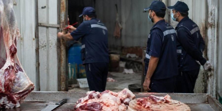 خدعة الأغنام الرخيصة تنتهي بإغلاق مسلخ عشوائي في جدة