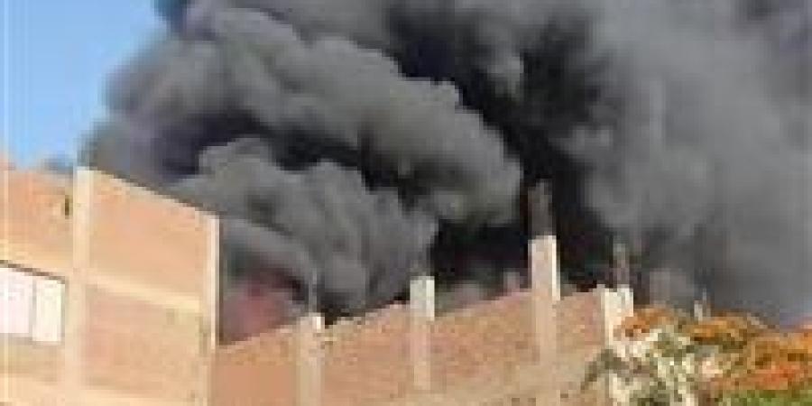 حريق
      يلتهم
      مركز
      صيانة
      سيارات
      في
      منيل
      شيحة
      بأبو
      النمرس