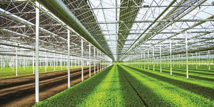 استعراض الاستثمارات القطرية بالأمن الغذائي الزراعي