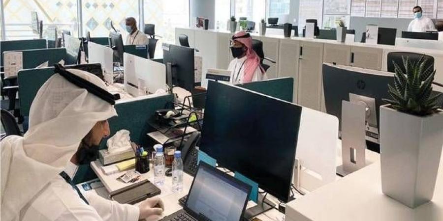 برنامج
      التحول
      الوطني
      يتجاوز
      عدة
      مستهدفات
      بنهاية
      2025
      ويطلق
      مبادرات
      جديدة