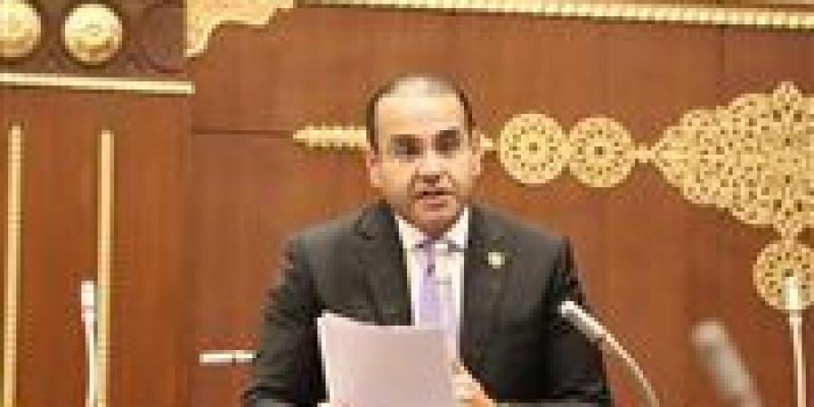 النائب محمد المنزلاوي: مصر تقود جهودًا متوازنة لترسيخ الاستقرار ودفع مسار السلام في المنطقة