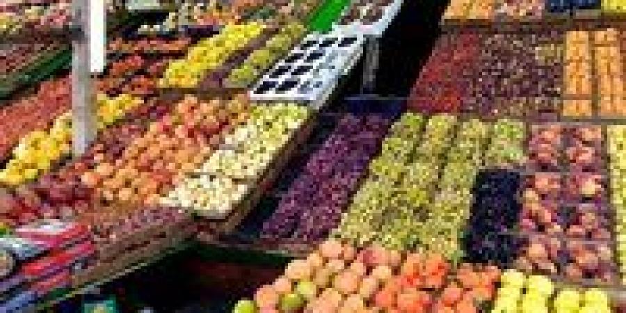 من
      البطيخ
      إلى
      الموز..
      خريطة
      أسعار
      الفاكهة
      في
      الأسواق
      اليوم