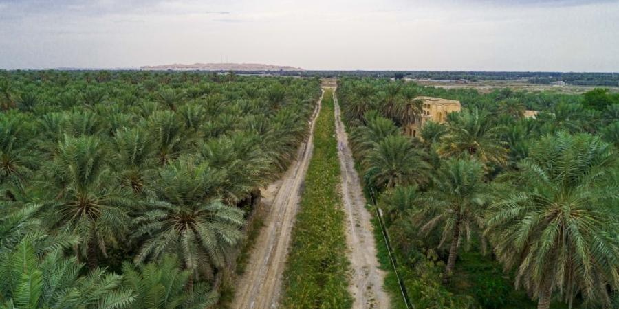إستراتيجية لتقليص استنزاف المخزون الجوفي بـ76%