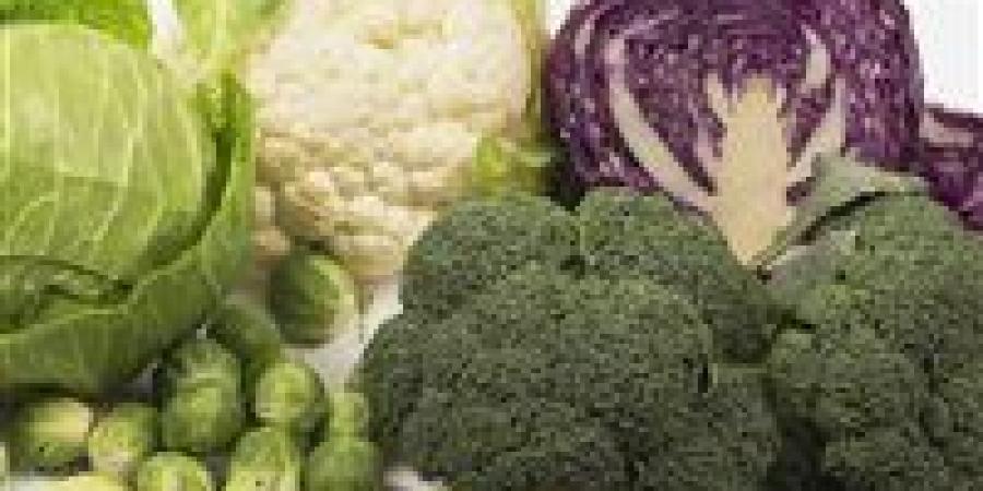 توصيات
      خبراء:
      أطعمة
      هامة
      تحارب
      سرطان
      القولون