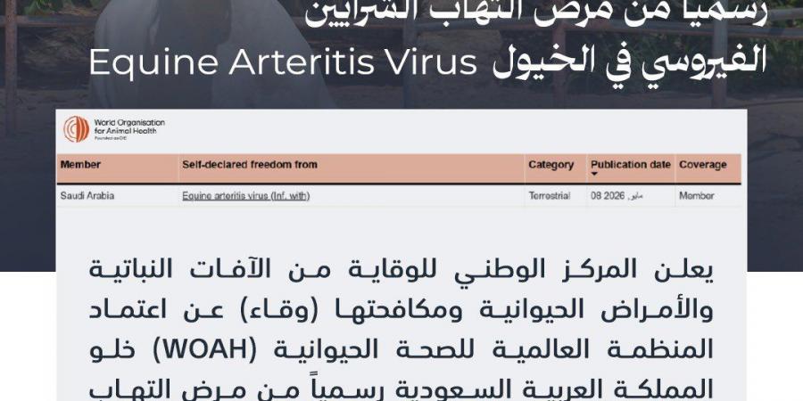 المملكة تعلن خلوها من التهاب الشرايين الفيروسي في الخيول