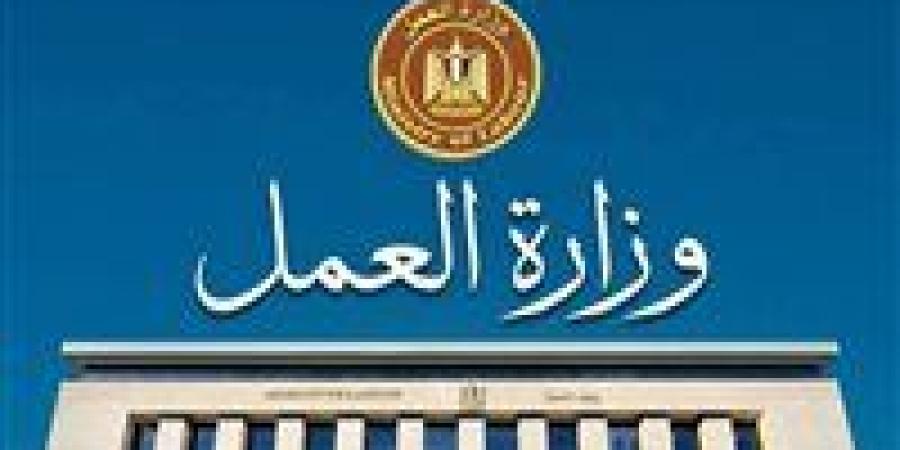 وزارة
      العمل
      تعلن
      عن
      85
      فرصة
      عمل
      بالإسماعيلية
      من
      بينها
      وظائف
      لذوي
      الهمم