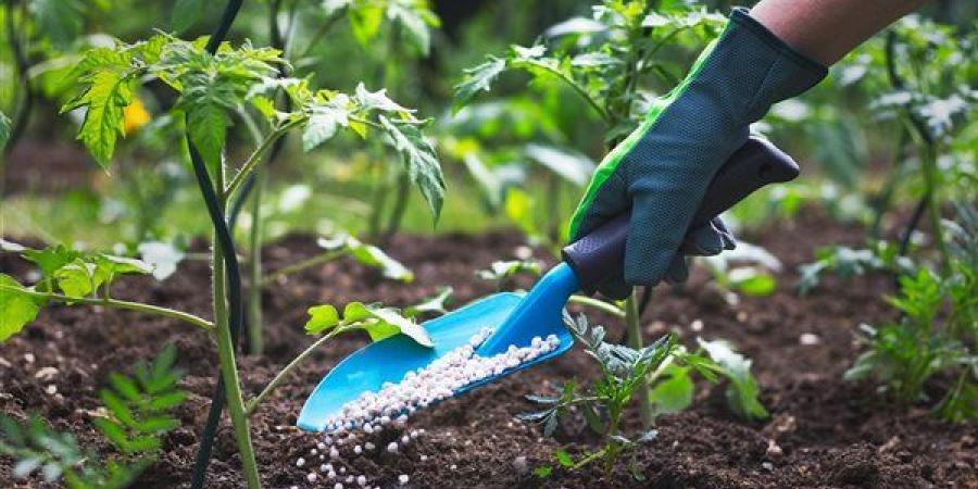 انخفاض السلفات 1324 جنيها، أسعار الأسمدة اليوم في الأسواق