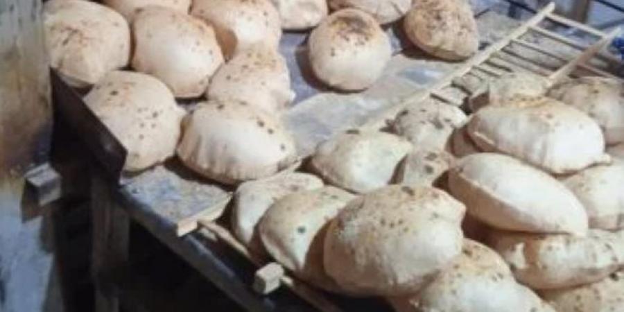 سعر رغيف الخبز المدعم.. اعرف آليات التطبيق بالمنظومة الجديدة