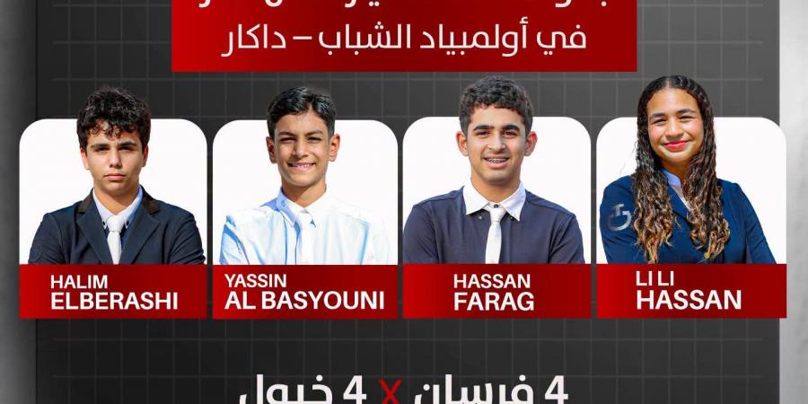 الفروسية|
      بطولة
      TOP
      4
      تحسم
      ممثل
      مصر
      في
      أولمبياد
      الشباب
      داكار
      2026