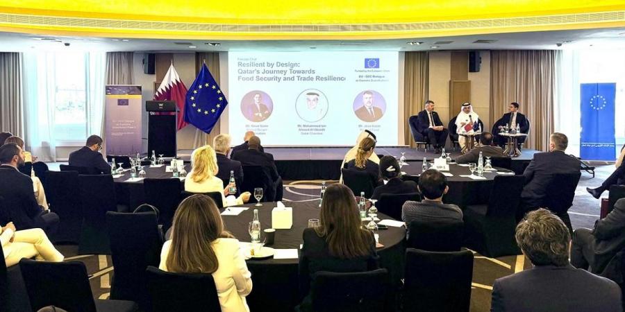 العبيدلي: قطر تمتلك فائضا في بعض المنتجات يؤهلها للتفكير في التصدير لا الاستيراد