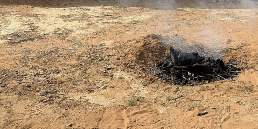 الأمن البيئي يضبط مخالفات متنوعة في محميات الملك عبدالعزيز والإمام عبدالعزيز بن محمد والمدينة المنورة