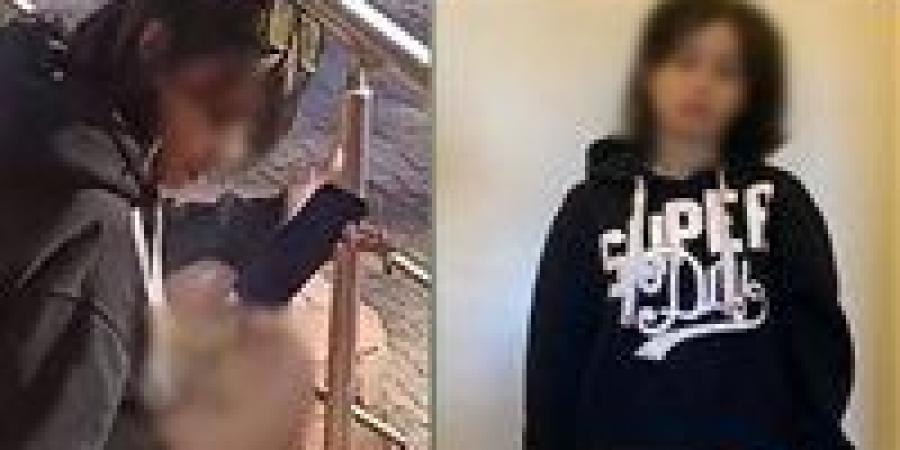 ضبط
      فتاة
      أجنبية
      بعد
      تداول
      فيديو
      لتدخينها
      سيجارة
      مخدرة
      بقرية
      سياحية
      في
      مطروح