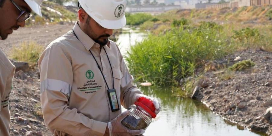 تخطيط مستقبلي للمواقع المتضررة