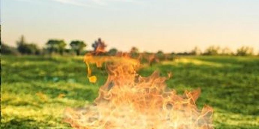 الدفاع المدني يدعو إلى الالتزام بمواقع إشعال النار حفاظًا على الأرواح والغطاء النباتي