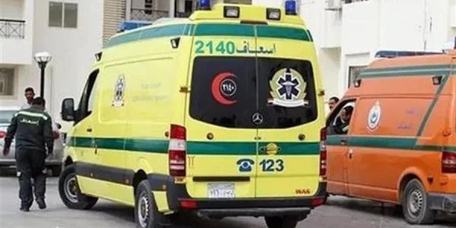 مصرع شاب صعقًا بالكهرباء من موتور مياه في المنزلة بالدقهلية