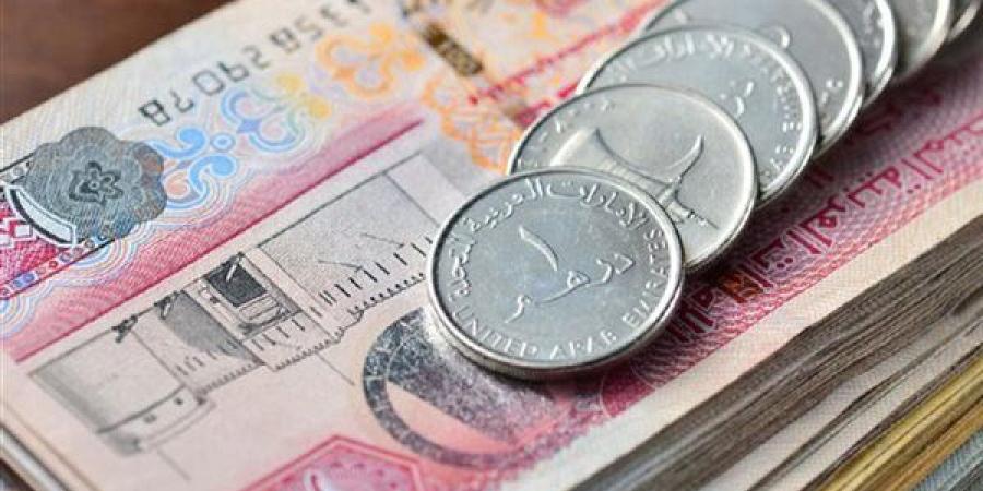 سعر الدرهم الإماراتي مقابل الجنيه في البنك المركزي اليوم الأحد