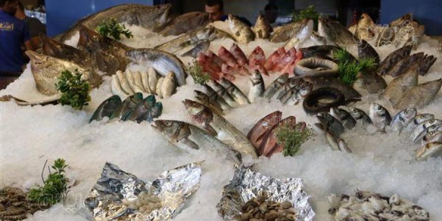 أسعار السمك اليوم، البلطي بـ 65 وانخفاض والمكرونة 20 جنيها وارتفاع الكابوريا والجمبري