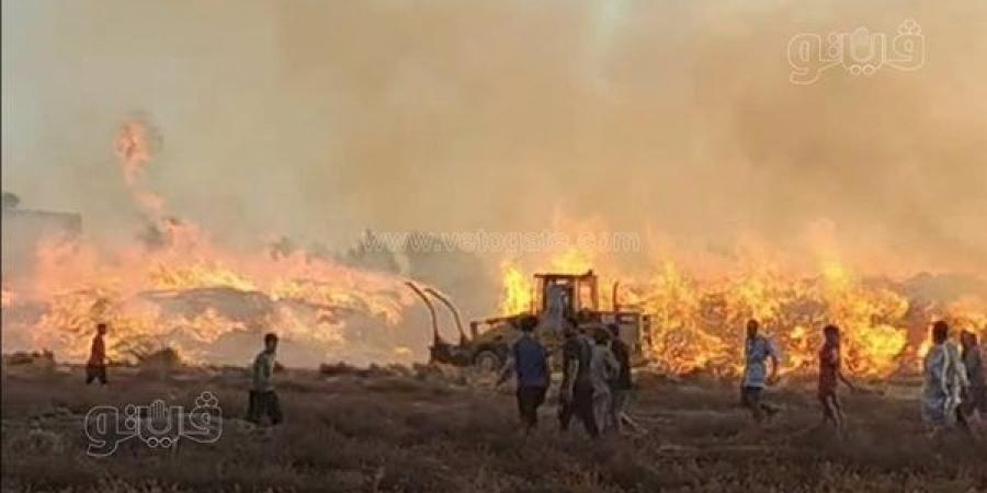 حريق
      هائل
      يلتهم
      شونة
      كتان
      بداخلها
      محصول
      10
      أفدنة
      في
      الغربية
      (صور)