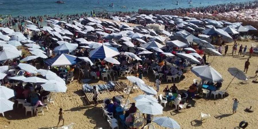 بعد
      انتهاء
      امتحانات
      الثانوية
      العامة،
      شواطئ
      الإسكندرية
      كاملة
      العدد