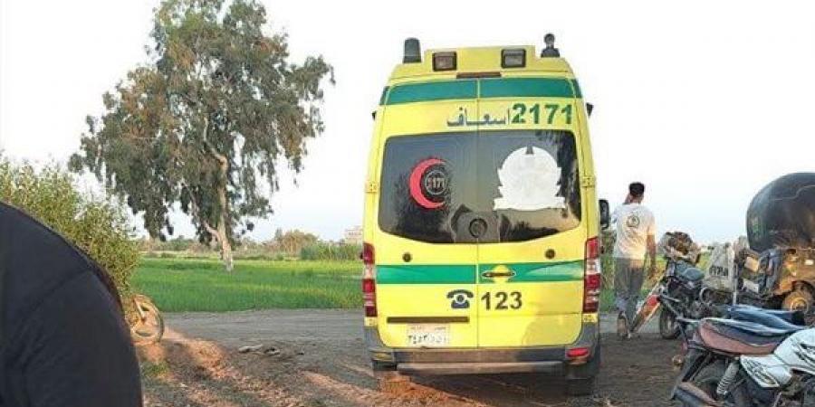 إصابة
      3
      أشخاص
      في
      مشاجرة
      بالأسلحة
      البيضاء
      بسبب
      خلافات
      الجيرة
      بالغربية