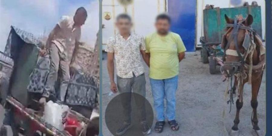 باستخدام
      عربة
      كارو،
      سقوط
      عاطلين
      سرقا
      صندوق
      قمامة
      بالإسكندرية