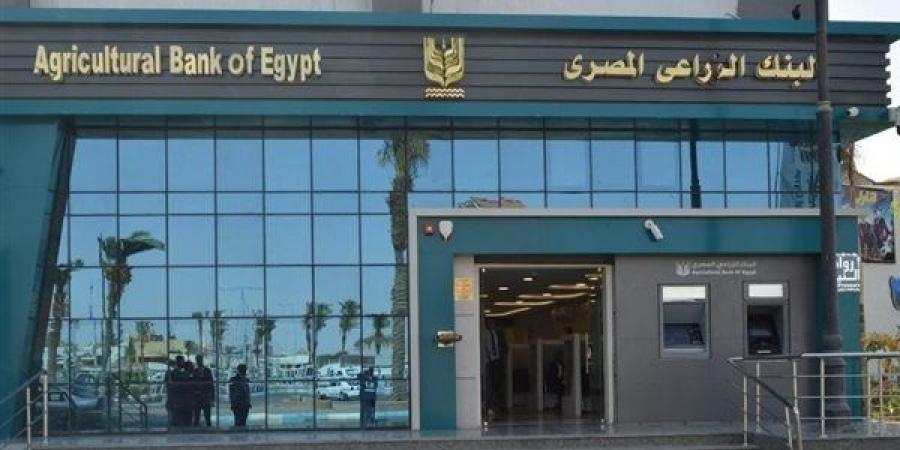 من
      الألف
      إلى
      الياء،
      طريقك
      لامتلاك
      سيارة
      ملاكي
      بقرض
      من
      البنك
      الزراعي