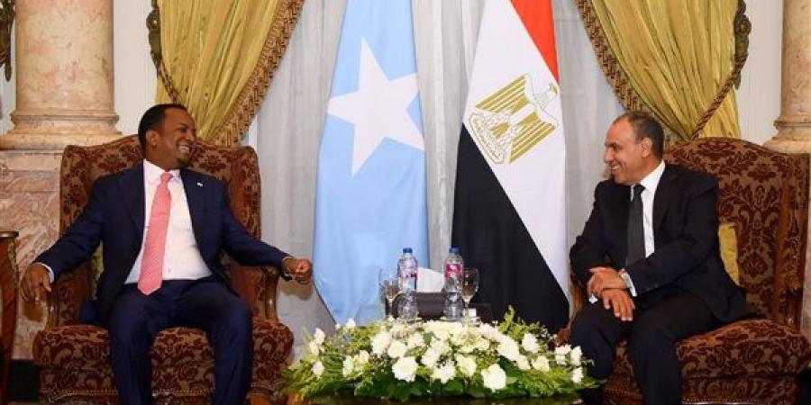 وزير
      الخارجية
      يطالب
      نظيره
      الصومالي
      بمواصلة
      الجهود
      للإفراج
      عن
      البحارة
      المصريين
      المختطفين
      (صور)