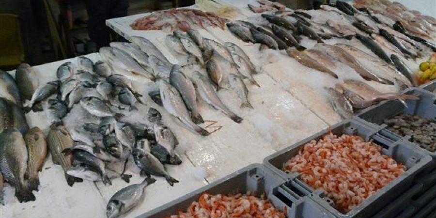 أسعار
      السمك
      اليوم،
      ارتفاع
      البلطي
      جنيهين
      وانخفاض
      الكابوريا
      10
      جنيهات