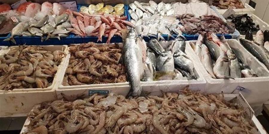 أسعار
      السمك
      اليوم،
      ارتفاع
      كبير
      في
      البوري
      والمكرونة
      وانخفاض
      20
      جنيها
      في
      قشر
      البياض