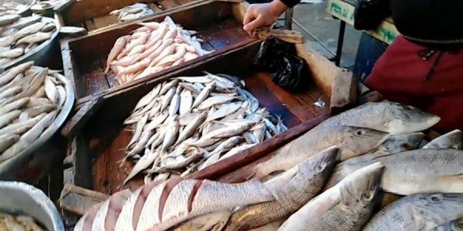 أسعار
      السمك
      اليوم،
      ارتفاع
      جديد
      في
      البلطي
      والمكرونة
      تتهاوى
      إلى
      80
      جنيها
      بعد
      الانخفاض