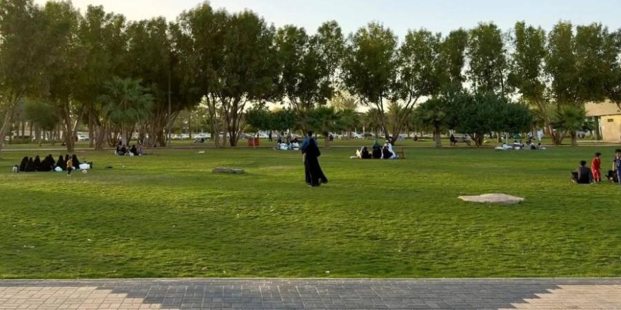 %4 نموا يرفع حدائق المملكة إلى 8249 متنزها
