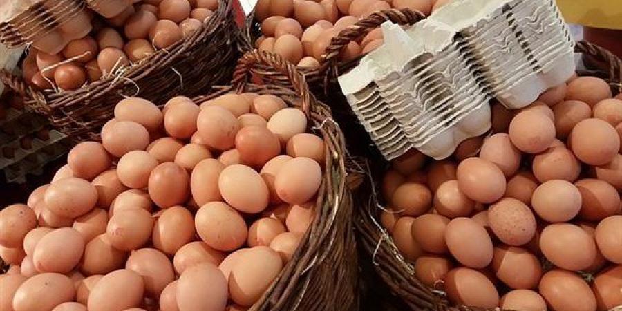 سعر
      كرتونة
      البيض
      اليوم
      الأربعاء
      في
      بورصة
      الدواجن