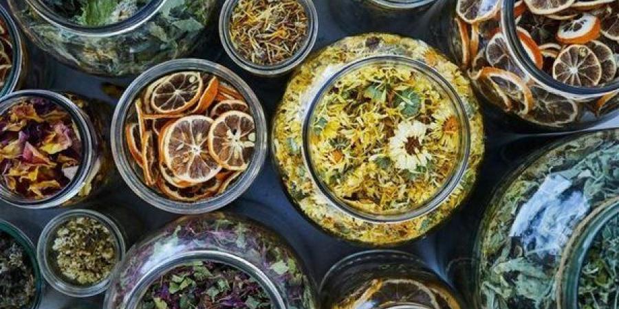 مشروبات
      عشبية
      تساعد
      على
      حرق
      الدهون
      في
      الطقس
      الحار