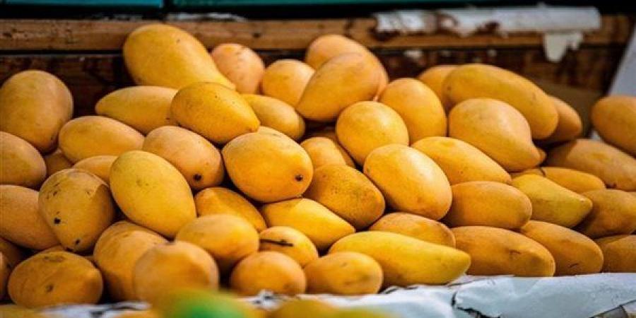 أسعار
      المانجو
      اليوم،
      6
      أصناف
      "تغري"
      المصريين
      والعويسي
      لـ"الفرجة"