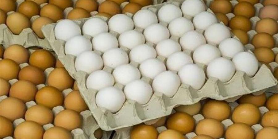 سعر
      كرتونة
      البيض
      اليوم
      الخميس
      في
      بورصة
      الدواجن