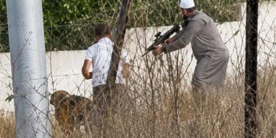فاروق
      رمضان،
      قصة
      بطل
      أسطوري
      أعزل
      في
      أرض
      فلسطين
      (فيديو)