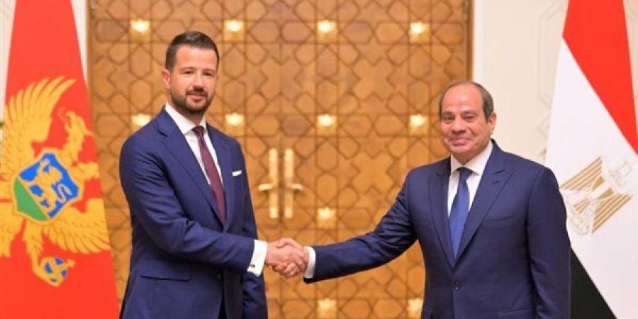 الرئاسة
      في
      أسبوع..
      السيسي
      يؤكد
      لرئيسة
      تنزانيا
      أهمية
      تعزيز
      العلاقات
      الثنائية..
      يبحث
      مع
      رئيس
      الجبل
      الأسود
      تطوير
      التعاون
      الاقتصادي..
      ويؤكد
      لـ
      ميلوني
      ضرورة
      تكثيف
      الاستثمارات
      الإيطالية
      بالسوق
      المصري