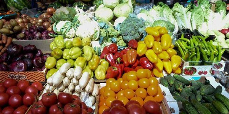 سعر
      الخضار
      اليوم،
      الليمون
      بـ
      45
      جنيها
      وارتفاع
      الخيار
      وانخفاض
      الفلفل
      ألوان
      5
      جنيهات