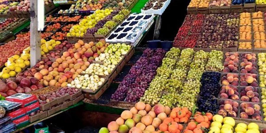 أسعار
      الفاكهة
      اليوم،
      الكمثرى
      الخشابي
      تبدأ
      من
      25
      جنيها
      و4
      أصناف
      تتجاوز
      الـ
      60
      "جملة"