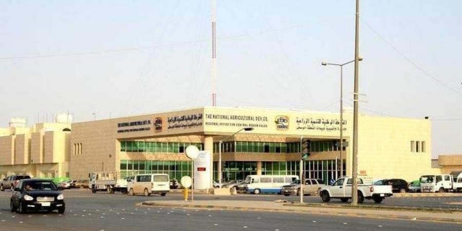"نادك"
      تصدر
      تقرير
      الاستدامة
      والممارسات
      البيئية
      لعام
      2025