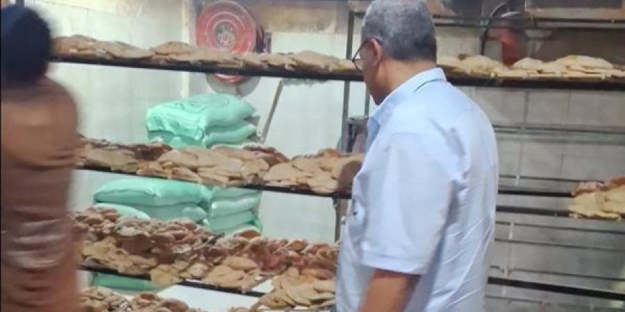 بالأرقام، تموين الإسماعيلية تضبط 85 مخالفة خلال حملات مكثفة