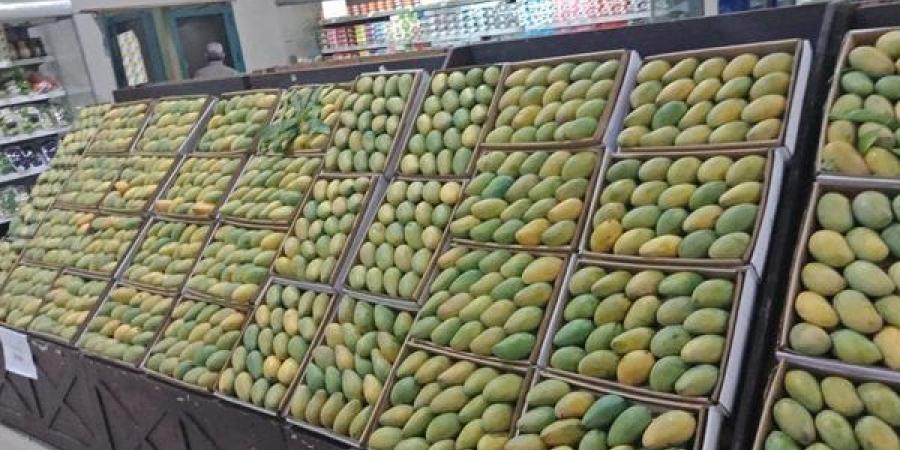 استكتروها
      علينا،
      ارتفاع
      يصل
      إلى
      27
      جنيها
      في
      أسعار
      المانجو
      اليوم
      بالأسواق