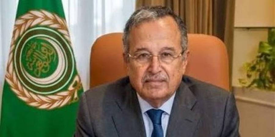 أوضاع عربية مقلقة ومتوترة، تفاصيل اتصال هاتفي بين نبيل فهمي ووزير الخارجية اللبناني
