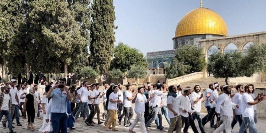 المستوطنون
      يواصلون
      اقتحام
      الأقصى،
      وتحذيرات
      من
      موجات
      أكثر
      تصاعدا