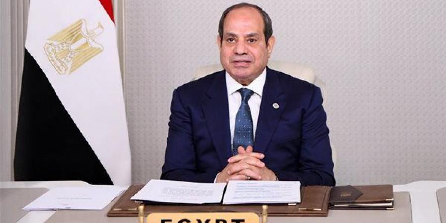 السيسي يؤكد تضامن مصر الكامل مع الجزائر في مواجهة الحرائق