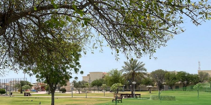 تنفيذ مشروع الري الذكي في حديقتي التواصل والخور.. وخفض استهلاك المياه 25%