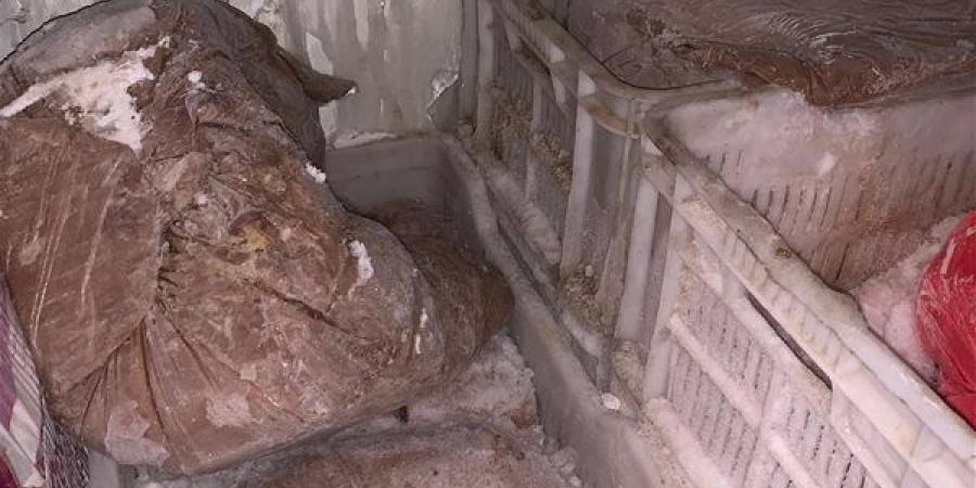 التحفظ
      على
      نصف
      طن
      آيس
      كريم
      فاسد
      يإحدى
      الثلاجات
      في
      الغربية
      (صور)