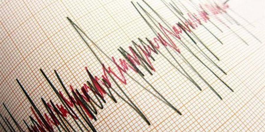 توابع
      زلزال
      الفجر،
      ماذا
      رصدت
      الشبكة
      القومية
      للزلازل؟